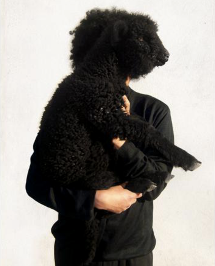 Gabriel Chaile, "Daniel", 2010. Performance with my lamb Daniel.